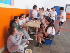 IMG 0859