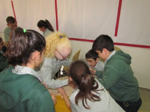 IMG_5946