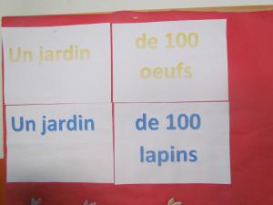 IMG 5739