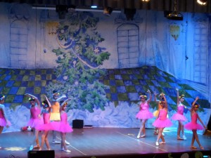 SAM_4579