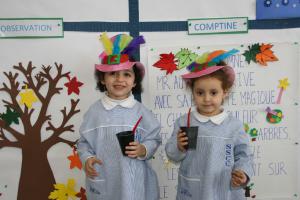 IMG 8852
