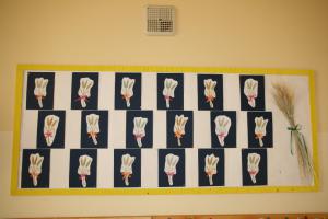 IMG 8868