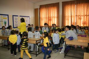 IMG 8917