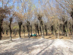 IMG_5690