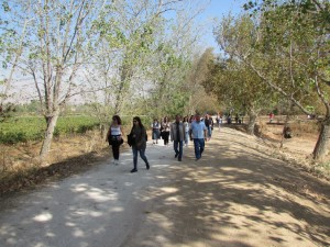 IMG_5718