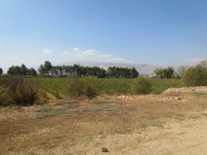 IMG_5726