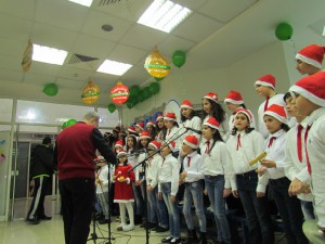 IMG_7384 