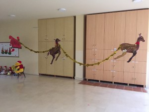 IMG_8627 