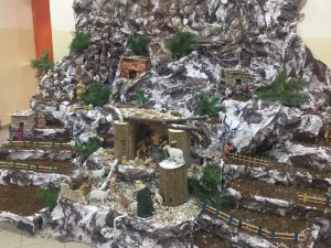 IMG_8666 