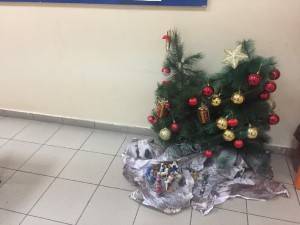 IMG_8672 
