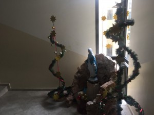 IMG_8677 