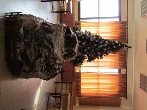 IMG 7694