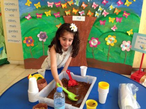 thumb_IMG_6554_1024 