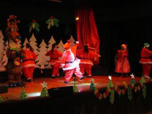 IMG 4235