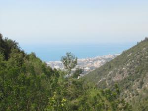IMG 5866