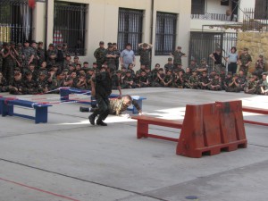 IMG_6228