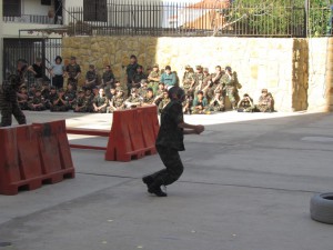 IMG_6229