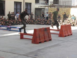 IMG_6231