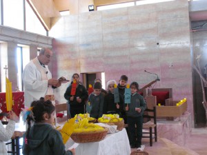 IMG_8264