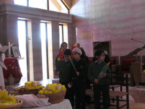 IMG_8265