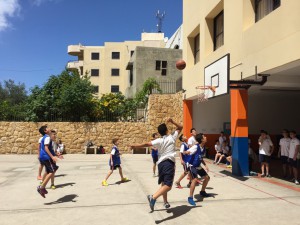 IMG_6557
