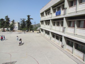 IMG_0808