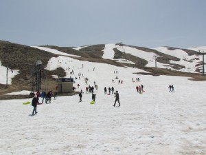 IMG_0822