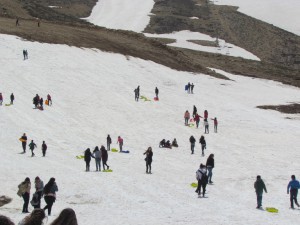 IMG_0830