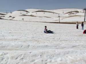 IMG_0843