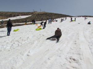 IMG_0844