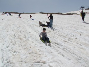IMG_0847