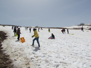IMG_0849