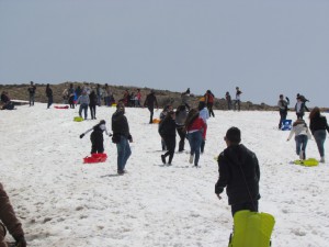 IMG_0850  