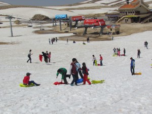 IMG_0852  