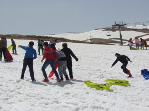 IMG_0853  