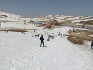 IMG_0859  