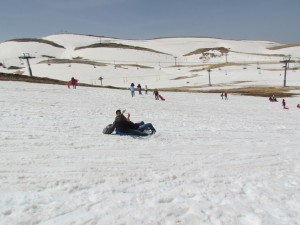 IMG_0860  