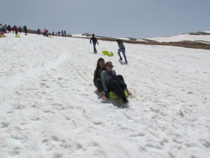 IMG_0865  