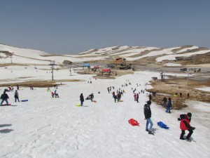 IMG_0867  