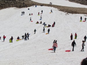 IMG_0873  