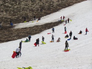 IMG_0874  