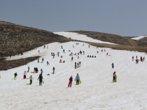 IMG_0876  
