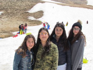 IMG_0887  