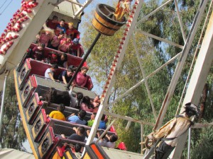 IMG_0910  