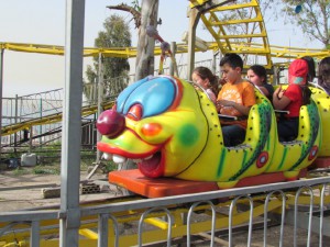 IMG_0925  