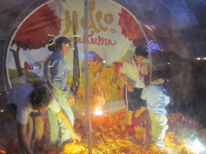 IMG_5971
