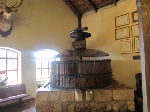 IMG_1161