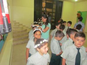 IMG 2583