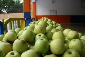 IMG 7532