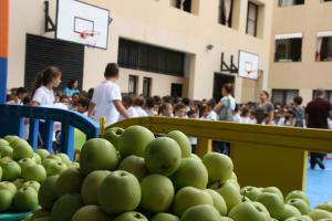 IMG 7550